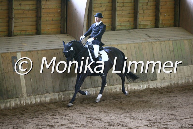 006M5463_Dressurpferde L.JPG